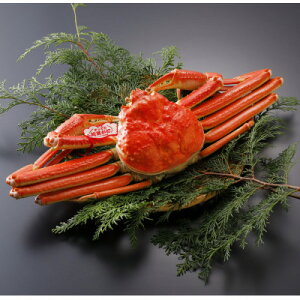 �y�ӂ邳�Ɣ[�Łz�y��s�\��z���挧�Y �^�O�t�� � ���t���� 500g×1�t(�������X)2026�N1������菇�������y�z���s�n��F�����E�k�C���E���ꌧ�E���k�E�M�z�A�k���z�y1692929�z