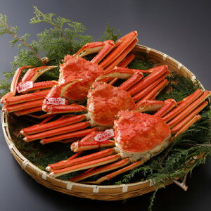 �y�ӂ邳�Ɣ[�Łz�y��s�\��z���挧�Y �^�O�t�� � ���t���� 500g×3�t(�������X)2026�N1������菇�������y�z���s�n��F�����E�k�C���E���ꌧ�E���k�E�M�z�A�k���z�y1692931�z