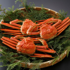 �y�ӂ邳�Ɣ[�Łz�y��s�\��z���挧�Y �󂠂� � ���t���� 500g×3�t(�������X)2026�N1������菇�������y�z���s�n��F�����E�k�C���E���ꌧ�E���k�E�M�z�A�k���z�y1692940�z