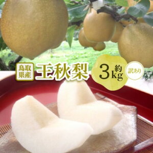 �y�ӂ邳�Ɣ[�Łz2026�N�����y�󂠂�z���H�� 3kg(3�`10�ʑO��)�y�z���s�n��F�����E�k�C���E���ꌧ�z�y1696732�z