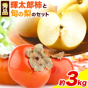 yӂ邳Ɣ[Łzys\z `  Ȃ PY`Ə{̗Zbg Gi 3kgs2025N10{-10oׁt 挧  ʕ  t[c Zbg ԏX 