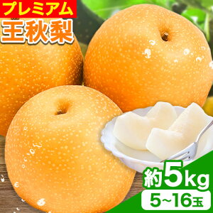 yӂ邳Ɣ[Łzys\zv~A H Iׂ 3kg (3~10) 4kg (4~13) 5kg (5~16) ԏXs10{-1{oׁt挧  Ȃ iV ʕ t[c I@s\