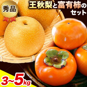 yӂ邳Ɣ[Łzys\zGi HƕxL`̃Zbg Iׂe 3kg 4kg 5kg ԏXs2025N11{`12{oׁt挧    Ȃ iV `  JL 