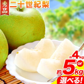 【ふるさと納税】【2026年先行予約】なし 梨 秀品 二十世紀梨 選べる 約4kg 約5kg 高間商店《2026年8月下旬-10月上旬頃出荷》鳥取県 八頭町 果物 フルーツ 和梨