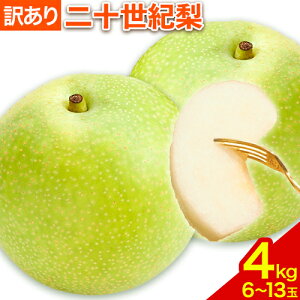 yӂ邳Ɣ[Łzy2026Ns\zy󂠂z\I 4kg (6~13) L~5LTCY s2026N8{-10{oׁt挧   Ȃ iV ʕ t[c ƒp@@s\@ӂ邳