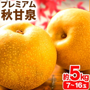 yӂ邳Ɣ[Łzy2026Ns\zv~A HÐ Iׂ  3kg (4`10)  5kg (7`16) ԏXs2026N8{-10{oׁt挧   Ȃ iV ʕ t[c v~A