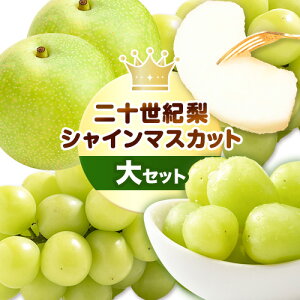 yӂ邳Ɣ[Łzy2026Ns\zVC}XJbg  \I  Zbg () ()s2026N8{-10{oׁt挧   Ȃ iV }XJbg ʕ t[c Gi I 