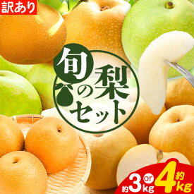 【ふるさと納税】旬の梨を食べ比べ 鳥取県産 旬の梨セット(訳あり/ご家庭) 選べる内容量 約3kg (3〜10玉) 約4kg (4〜13玉) 高間商店 《2026年8月下旬-12月上旬頃出荷》鳥取県 八頭町 梨 なし 果物 フルーツ 幸水 豊水 秋栄梨 秋甘泉 新甘泉 新高梨 あたご梨 王秋梨