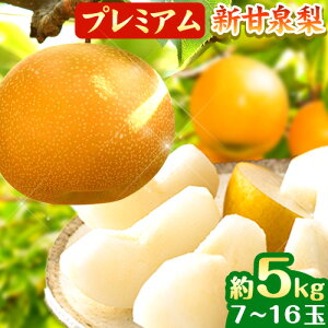 yӂ邳Ɣ[Łzy2026Ns\zȂ  v~A VÐ Iׂ 3kg (4`10) 5kg (7`16) ԏXs2026N8{-10{oׁt 挧   Ȃ iV ʕ t[c I 