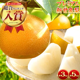 【ふるさと納税】ランキング入賞 なし 梨 プレミアム 新甘泉 選べる 約 3kg (4〜10玉) 約 5kg (7〜16玉) 高間商店《2026年8月下旬-10月上旬頃出荷》 和梨 鳥取県 八頭町 梨 なし ナシ 果物 フルーツ 厳選 先行予約 送料無料 甘い 果実 果汁 デザート 新甘泉梨 赤梨 ギフト