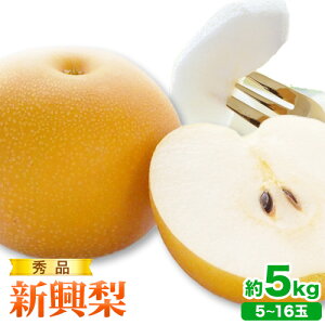 yӂ邳Ɣ[ŁzGi V Iׂe 3kg (3`10) 4kg (4`13) 5kg (5`16) ԏXs2025N10{-12{oׁt挧   Ȃ iV ʕ t[c Gi V Â 