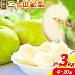 yӂ邳Ɣ[Łzy2026Ns\zI \I 3kg (4~10) 3L~5LTCYs2026N8{-10{oׁt 挧   Ȃ iV ʕ t[c s\ ӂ邳Ɣ[  