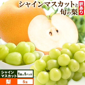 yӂ邳Ɣ[Łzy2026Ns\z󂠂VC}XJbgZbgƏ{̗ ԏXs2026N8{-10{oׁt 挧  ʕ  t[c }XJbg iV Ȃ Ԃǂ