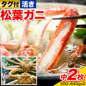 yӂ邳Ɣ[Łzyz^OttKj 2(1500`640g) ԏXs11{-3{oׁt挧   Jj I@ tKj ^Ot uh@Y@ӂ邳Ɣ[