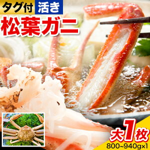 yӂ邳Ɣ[Łzyz^OttKj 1(800`940g) ԏXs11{-3{oׁt挧   Jj I tKj ^Ot uh