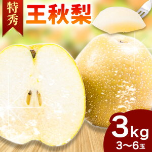 yӂ邳Ɣ[Łz H (G) 3kg 4L`5LTCY 3`6ʓ ܉ s2025N11{`2026N1{oח\t挧   Ȃ t[c ʕ {  񂹃t