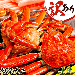 yӂ邳Ɣ[Łz󂠂 Jj tKj 1{Ȃ 600g 1t 1.2kg 2ts11{-3{oׁt挧   I  p  YCKj tKj YCI {C ① tI 