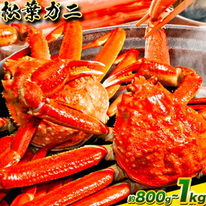 �y�ӂ邳�Ɣ[�Łz�_12/23���ϊ������܂ŔN���z���^�J�j ���t�K�j �I�ׂ� 600g~ 800g or 800g~1kg�s11�����{-3�����{���o�ׁt���挧 ������ �������� �I ���� �p �� �Y���C�K�j ���t�K�j �Y���C�I �{