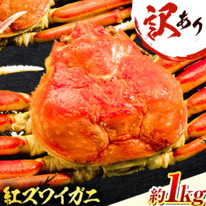 yӂ邳Ɣ[Łz_12/23ϊ܂ŔNz^ 󂠂 Jj gYCKj Iׂ 400g(1) or 1kg(3)s2025N9{-2026N6{oׁt挧   I  p  YCKj 