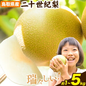 yӂ邳Ɣ[Łzy2026Ns\zƒp  Ȃ \I Iׂ 1kg (2~5) 3kg (6~15) 5kg (10~25) s2026N8{-9{oׁt\I  ƒp { \I 挧 