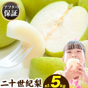 yӂ邳Ɣ[Łzy2026Ns\zƒp  Ȃ \I Iׂ 1kg (2~5) 3kg (6~15) 5kg (10~25) s2026N8{-9{oׁt\I  ƒp { \I 挧 