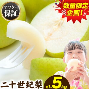 yӂ邳Ɣ[ŁzyyVzƒp  Ȃ \I Iׂ 1kg (2~5) 3kg (6~15) 5kg (10~25) s2026N8{-9{oׁt\I  ƒp { \I 挧  