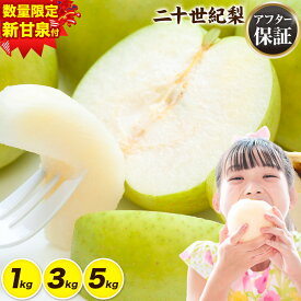 【ふるさと納税】＜先行予約＞新甘泉 食べ比べ 便 登場 ご家庭用 梨 なし 二十世紀梨 選べる 約1kg (2~5玉) 約3kg (6~15玉) 約5kg (10~25玉) 《2027年8月下旬-9月下旬頃出荷》二十世紀梨 梨 ご家庭用 旬 二十世紀 鳥取県 八頭町 なし 果物 フルーツ 特産品 デザート訳あり