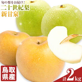 【ふるさと納税】＜先行予約＞鳥取県産 季節の梨 詰め合わせ 約2kg 二十世紀梨 新甘泉 《2027年8月下旬-9月下旬頃出荷予定(土日祝除く)》 梨 訳あり ご家庭用 鳥取県 八頭町 なし 果物 フルーツ 特産品 送料無料 果汁 デザート 八頭 しんかんせん 20世紀