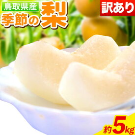 【ふるさと納税】【訳あり】先行予約 【ご家庭用】季節の梨セット 約5kg (8~20玉) 旬の品種を1品種お届け《2024年8月下旬から11月末頃出荷予定》梨 訳あり ご家庭用 旬 鳥取県 八頭町 なし 果物 フルーツ 特産品 送料無料 果汁 デザート 秋栄 秋甘泉 新興梨 王秋