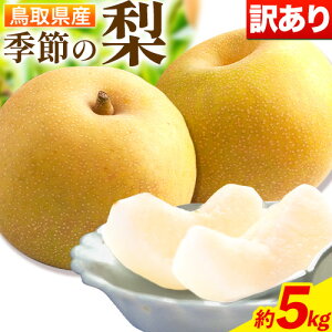 yӂ邳Ɣ[Łzy󂠂zyƒpzG߂̗Zbg 3kg 5kg {̕i1i킨͂s3-7cƓȓ(yj)t 󂠂 ƒp { 挧  Ȃ ʕ t[c Y