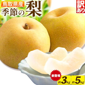 【ふるさと納税】数量限定【ご家庭用】季節の梨 約5kg 旬の品種を1品種お届け《10月上旬-12月中旬頃出荷(土日祝除く)》梨 訳あり 旬 鳥取県 八頭町 なし 果物 フルーツ 特産品 送料無料 果汁 デザート 秋栄 秋甘泉 新興梨 王秋 大容量