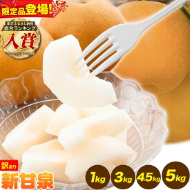 【ふるさと納税】二十世紀梨 食べ比べ 便 登場 ご家庭用 新規格 もったいない梨 新甘泉 選べる内容量 約1kg (2-5玉) 約3kg (5-11玉) 約5kg (9-20玉) 《2026年8月下旬-9月下旬頃出荷》新甘泉 梨 ご家庭用 鳥取県 八頭町 なし 果物 フルーツ 特産品 送料無料 果汁 デザート