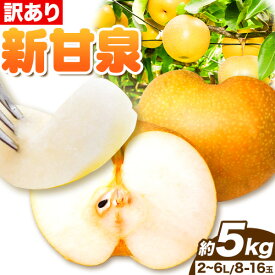 【ふるさと納税】【訳あり】先行予約 新甘泉 約5kg (8~16玉) 2L~6Lサイズ《2024年8月下旬から10月上旬頃出荷》新甘泉 梨 訳あり ご家庭用 鳥取県 八頭町 なし 果物 フルーツ 特産品 送料無料 果汁 デザート 八頭