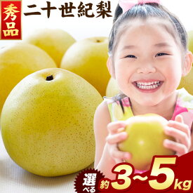 【ふるさと納税】梨 なし【秀品(赤秀)】二十世紀梨 選べる 約3kg (6~11玉) 約5kg (10~18玉) 《2026年8月下旬-9月下旬頃出荷》鳥取県 八頭町 梨 なし 果物 フルーツ 特産品 秀品 赤秀 贈答用 先行予約 送料無料 果汁 デザート