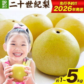 【ふるさと納税】【2026年先行予約】梨 なし 二十世紀梨 選べる 約1kg (2~5玉) 約3kg (6~15玉) 約5kg (10~25玉) 《2026年8月下旬-9月下旬頃出荷》二十世紀梨 梨 ご家庭用 旬 二十世紀 鳥取県 八頭町 なし 果物 フルーツ 特産品 送料無料 デザート
