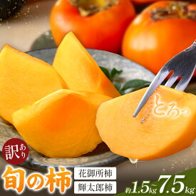 【ふるさと納税】柿 訳あり 旬の柿 選べる 約1.5kg 約4kg 約7.5kg《2026年10月上旬-12月末頃出荷予定(土日祝除く)》鳥取県 八頭町 送料無料 かき カキ ご家庭用 果物 フルーツ 花御所柿 輝太郎柿 特産品 お取り寄せフルーツ サイズ不選別 大容量 お試し 限定
