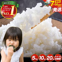 【ふるさと納税】 無洗米 最短 7営業日出荷 ランキング 入賞 高レビュー...