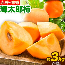 【ふるさと納税】【先行予約】輝太郎柿 赤秀 〜 青秀 3kg 7〜10玉 《10月上旬-10月下旬頃より出荷予定》JA鳥取いなば 鳥取県 八頭町 柿 かき カキ くだもの くだもの 果物 青果物 フルーツ