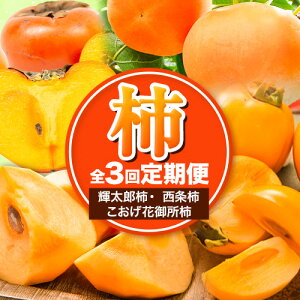yӂ邳Ɣ[Łzys\zyS3ցz̊`XyVR[X ԏG G G s2025N10{-12{oׁtJA悢Ȃ 挧  `  ʕ t[c  Еz 
