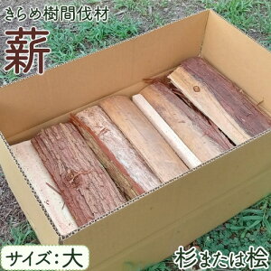 yӂ邳Ɣ[Łz[ߎ Ԕ] dEjt IׂTCY 30cm 40cm RfލH[͂ǂs120ȓɏoח\(yj)t挧  dXg[u   AEghA Lv 