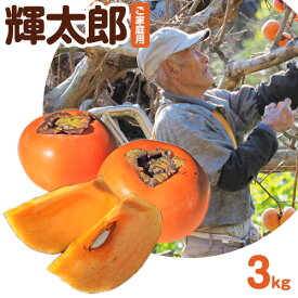 【ふるさと納税】先行予約 ご家庭用 輝太郎柿 約3kg 岡崎ファーム《10月上旬-10月末頃出荷》鳥取県 八頭町 柿 かき カキ 輝太郎 果物 フルーツ