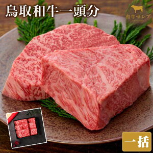yӂ邳Ɣ[ŁzyaZuzaꓪ 193.1~200kg Iׂz ꊇ 12 24waZubMtgXxsmFĂ1ɔzJnt挧 