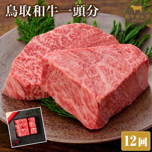 yӂ邳Ɣ[ŁzyaZuzaꓪ 193.1~200kg Iׂz ꊇ 12 24waZubMtgXxsmFĂ1ɔzJnt挧 