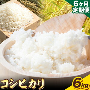 【ふるさと納税】【6ヶ月定期便】“土づくりの恵み” つやっつやの特別栽培米お届け 6ヶ月コース 特別栽培米 コシヒカリ 2kg×3袋 有限会社 田中農場《ご入金を確認してから約2ヶ月後に出荷