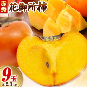 yӂ邳Ɣ[Łz ` Ԍ䏊` ԏG Y 2LTCY 2.3kg (9ʓ) ₸ӂꂠs s12{`12oח\t 挧    ` Ԍ䏊` ̊` Yi ʕ 