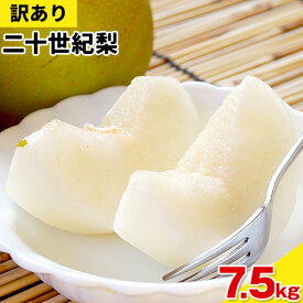 【ふるさと納税】【訳あり】選べる二十世紀梨 3kg 4kg 5kg 7.5kg 10kg 15kg さんチョク《9月上旬-9月末頃出荷》鳥取県 八頭町 なし ナシ 果物 フルーツ 厳選