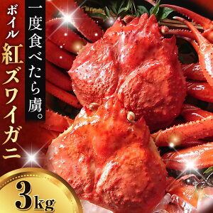yӂ邳Ɣ[ŁzJj gYCKj 1kg 2kg 3kg {C 1t ` 7t s9{-5oׁt SOO 挧   I  p  YCKj YCI {C xjYC xjY