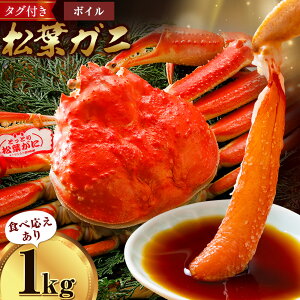 yӂ邳Ɣ[ŁzJj tKj 1kg 800g {C or  1t sIтt SOO 挧   I  p  YCKj YCI {C tKj