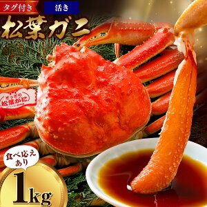 【ふるさと納税】カニ 松葉ガニ 1kg 800g ボイル or 活き 1杯 《発送時期をお選びください》 SOO合同会社 鳥取県 八頭町 送料無料 蟹 かに 姿 鍋 ズワイガニ ズワイ蟹 ボイル 松葉ガニ