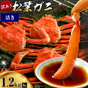 yӂ邳Ɣ[ŁzJj tKj 󂠂 400g 800g 1.2kg {C or  1t 2t 3t sIтt SOO 挧   I  p  YCKj YCI {C 